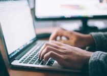 WordPress ontwikkeling
