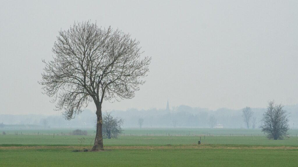 Vakantie Gelderland